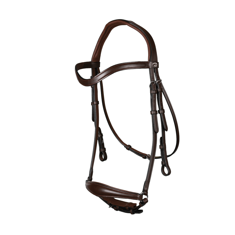 Drop Noseband Bridle