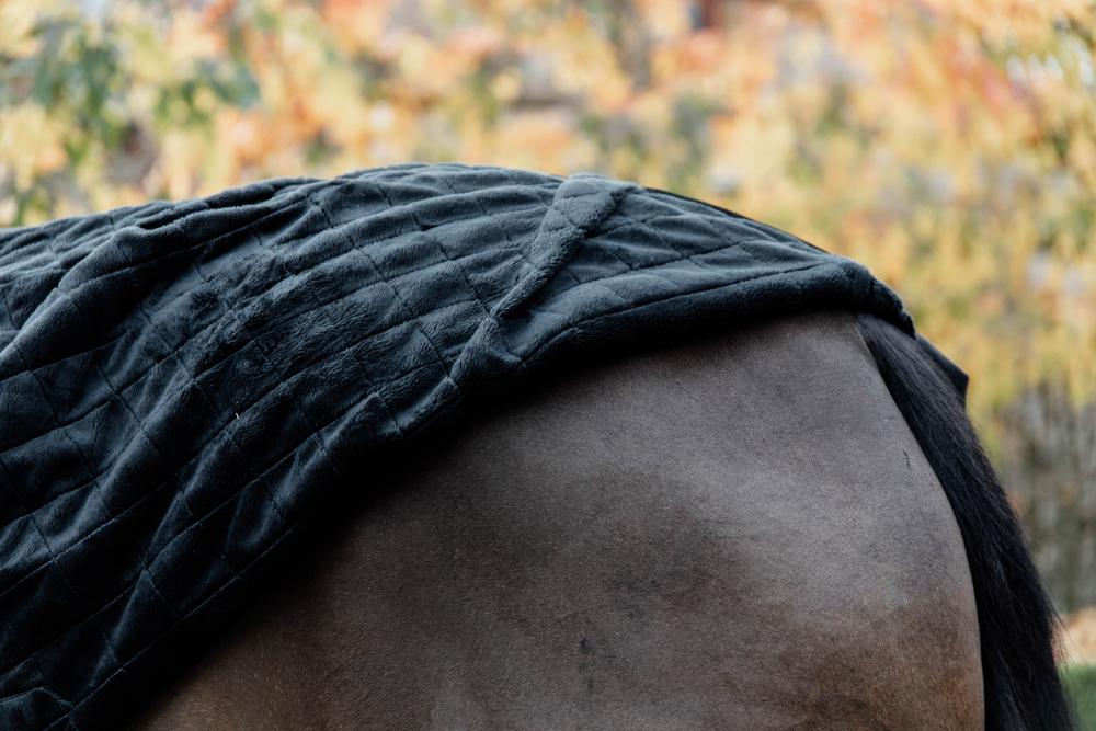 Horse Rug Holder for Horse Blanket