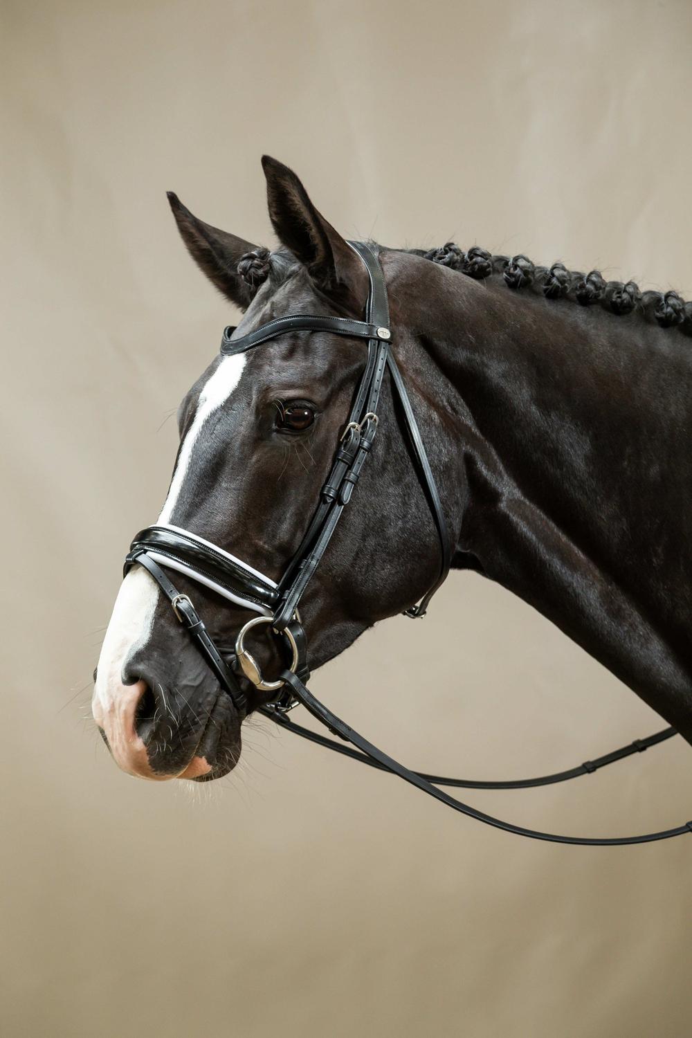 Patent Large Crank Noseband Bridle With White Padding And Flash