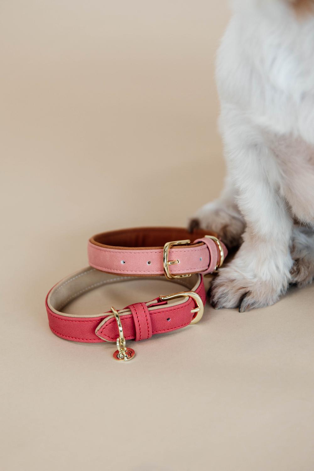 Extra-small pet collar in pastel pink