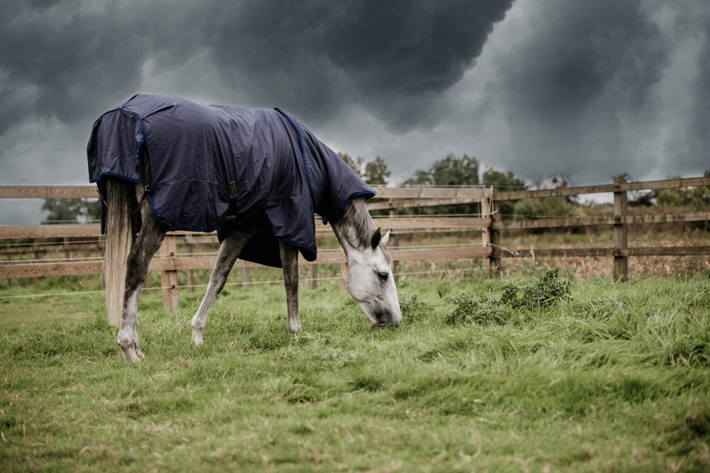 Winterdeken All Weather Hurricane