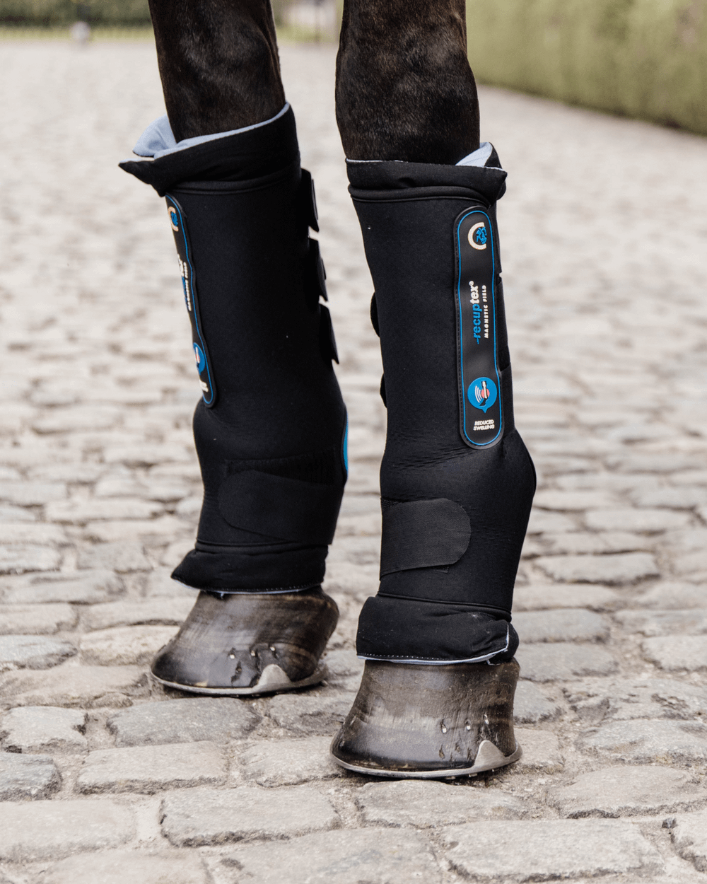 Magnetic Stable Boots Recuptex