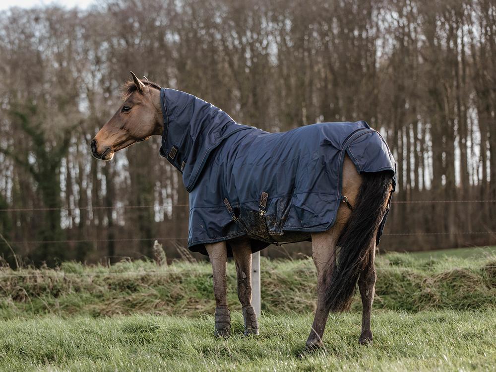 Turnout Rugs 