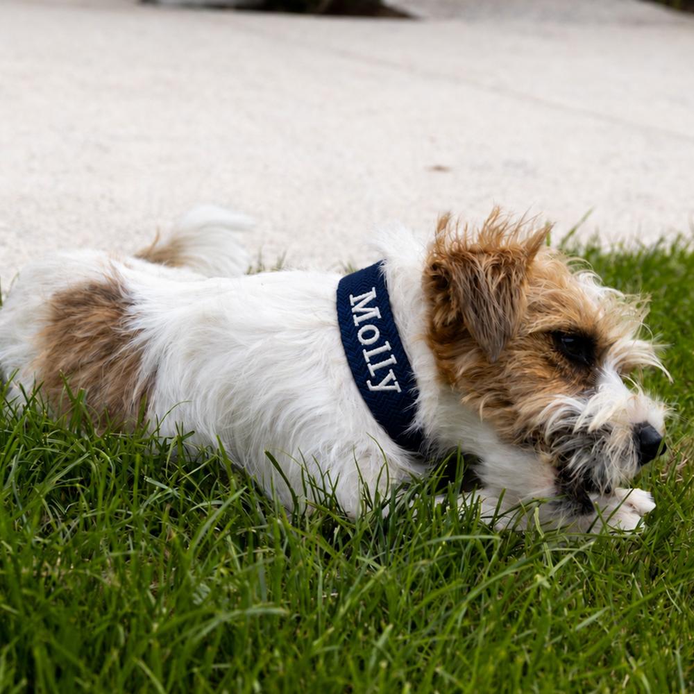 Hundezubehör