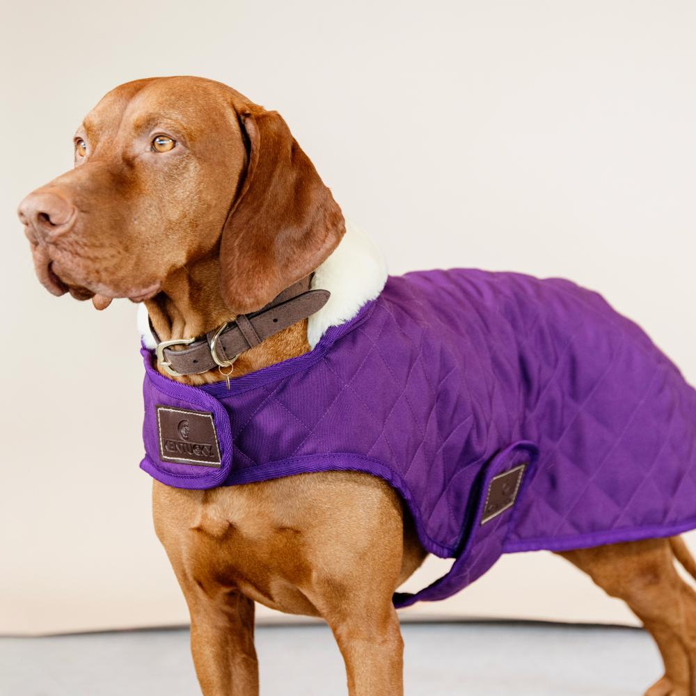 Dog Coat Original | Kentucky Dogwear | Comfort