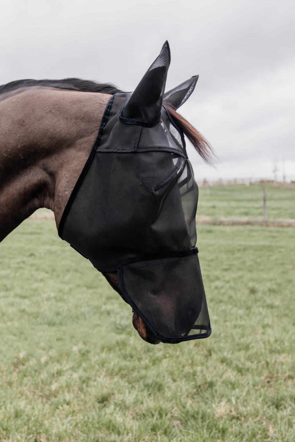 Fly Masks Kentucky