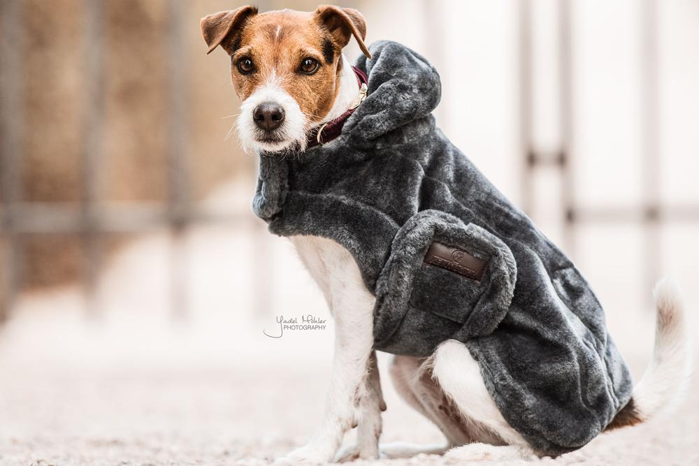Manteau pour chien Fausse Fourrure