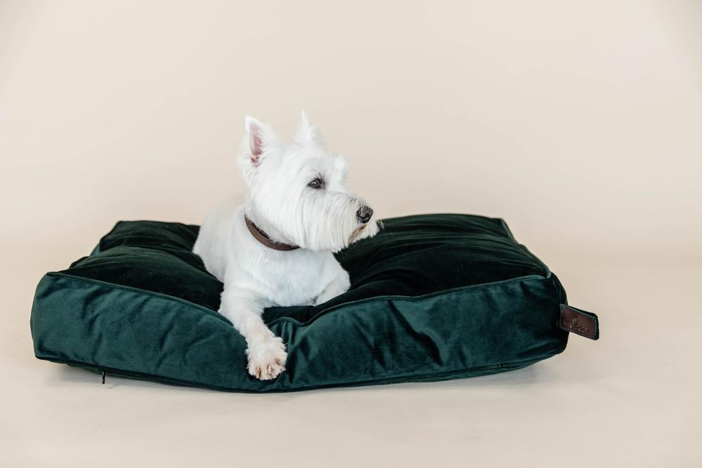 Dog Bed Pillow Velvet