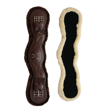 Sangle Anatomique courte mouton Sangle Anatomique courte mouton