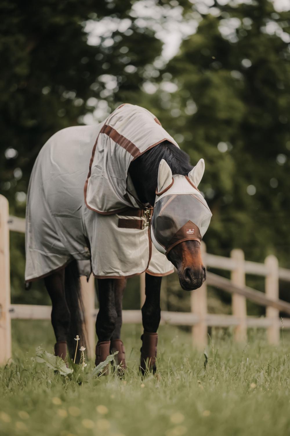 Mesh Fly Rug Classic