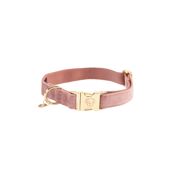Dog Collar velvet old rose M'3652cm Old rose M 4253810M Kentucky