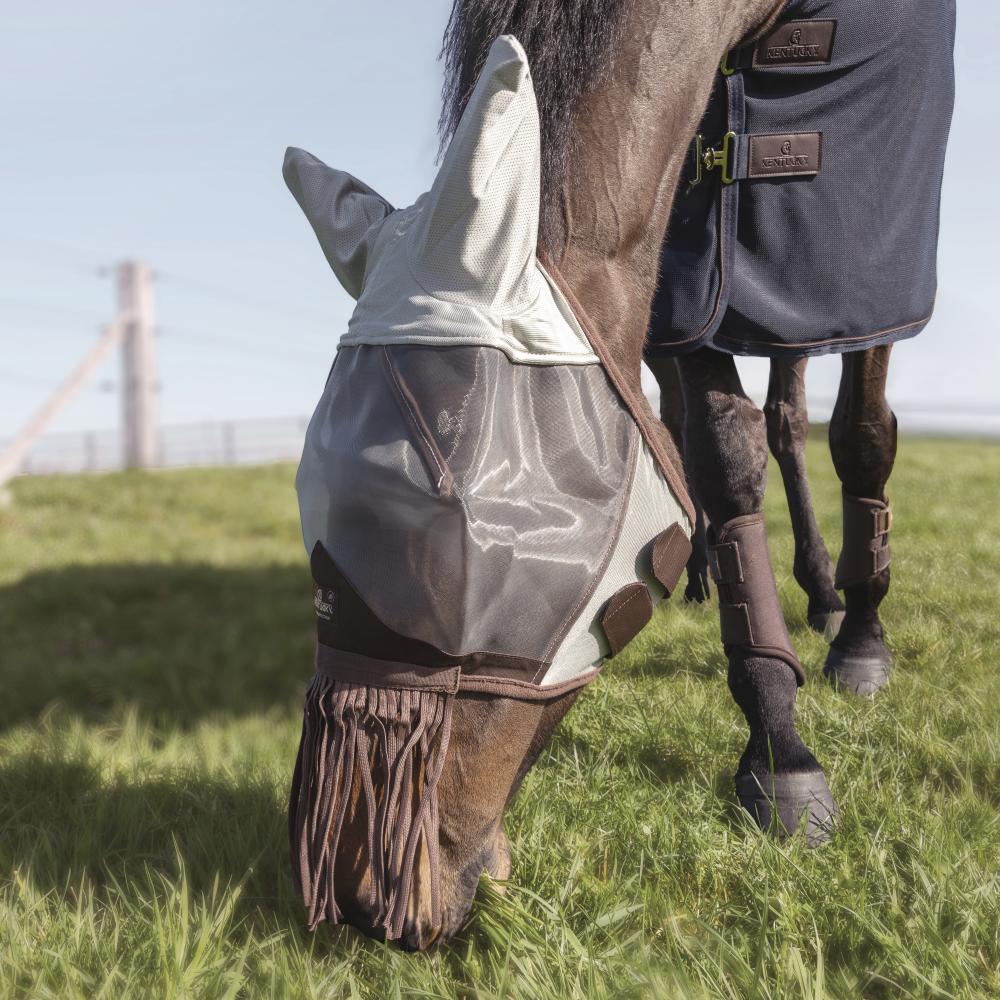 Fly Masks