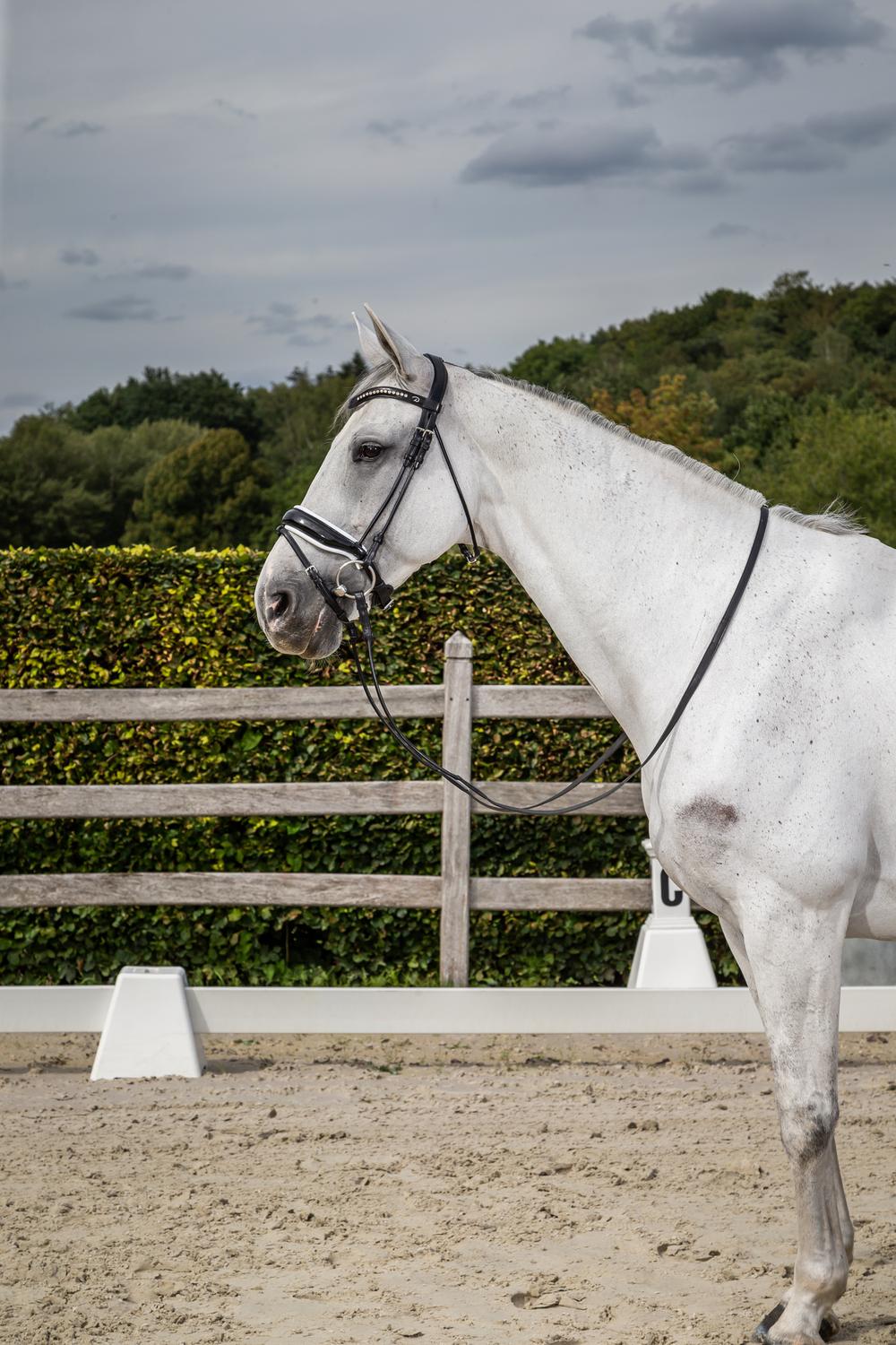 Patent Large Crank Noseband Bridle With White Padding And Flash