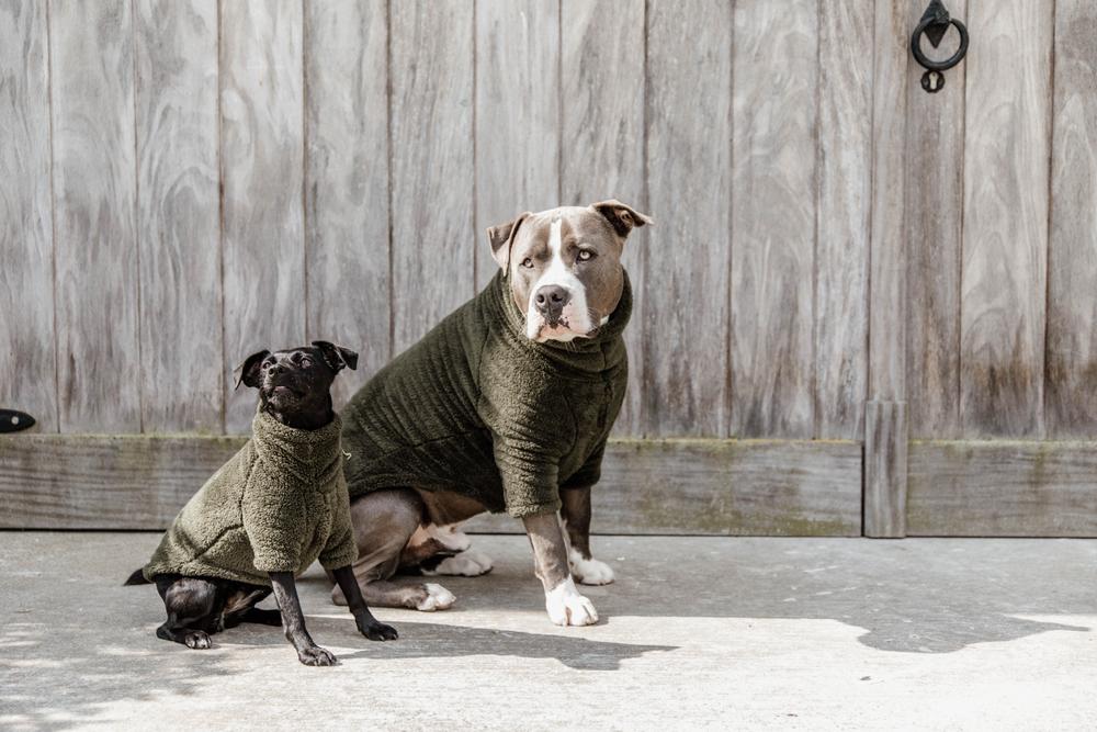 Dog sweater teddy fleece pine green xxs 25cm, Pine green, XXS, 52156-74-XXS