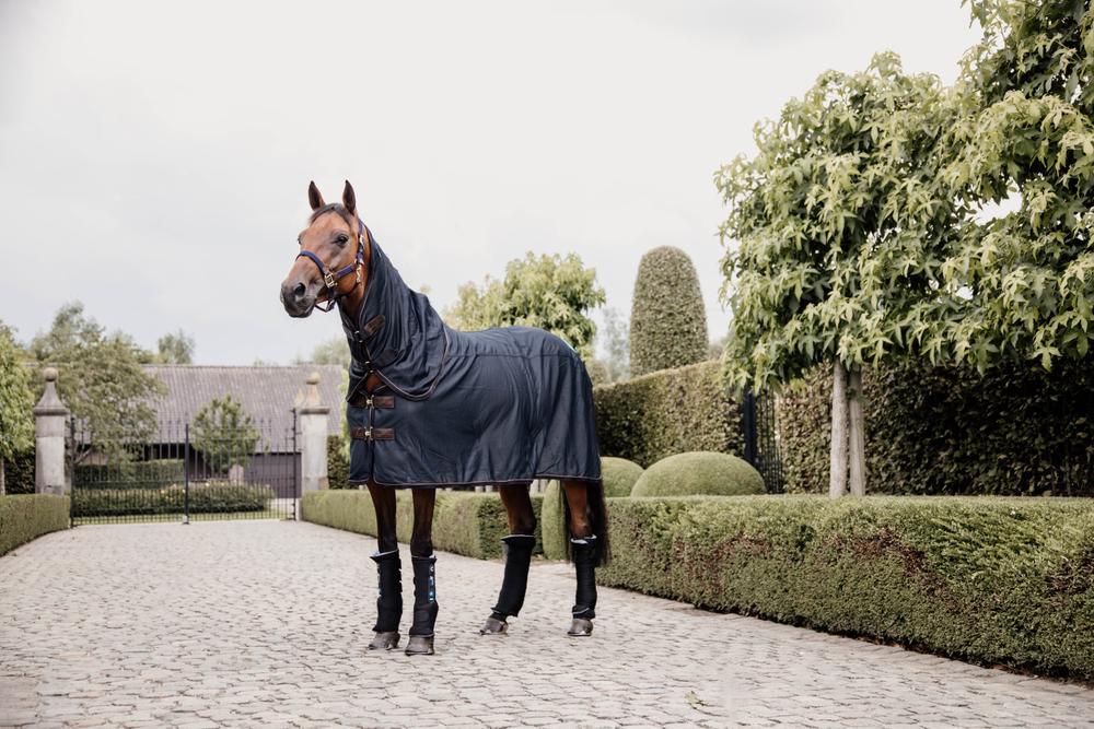 Kentucky Horsewear Couverture Magnétique Poney Recuptex - Boutique Equus  Vitalis