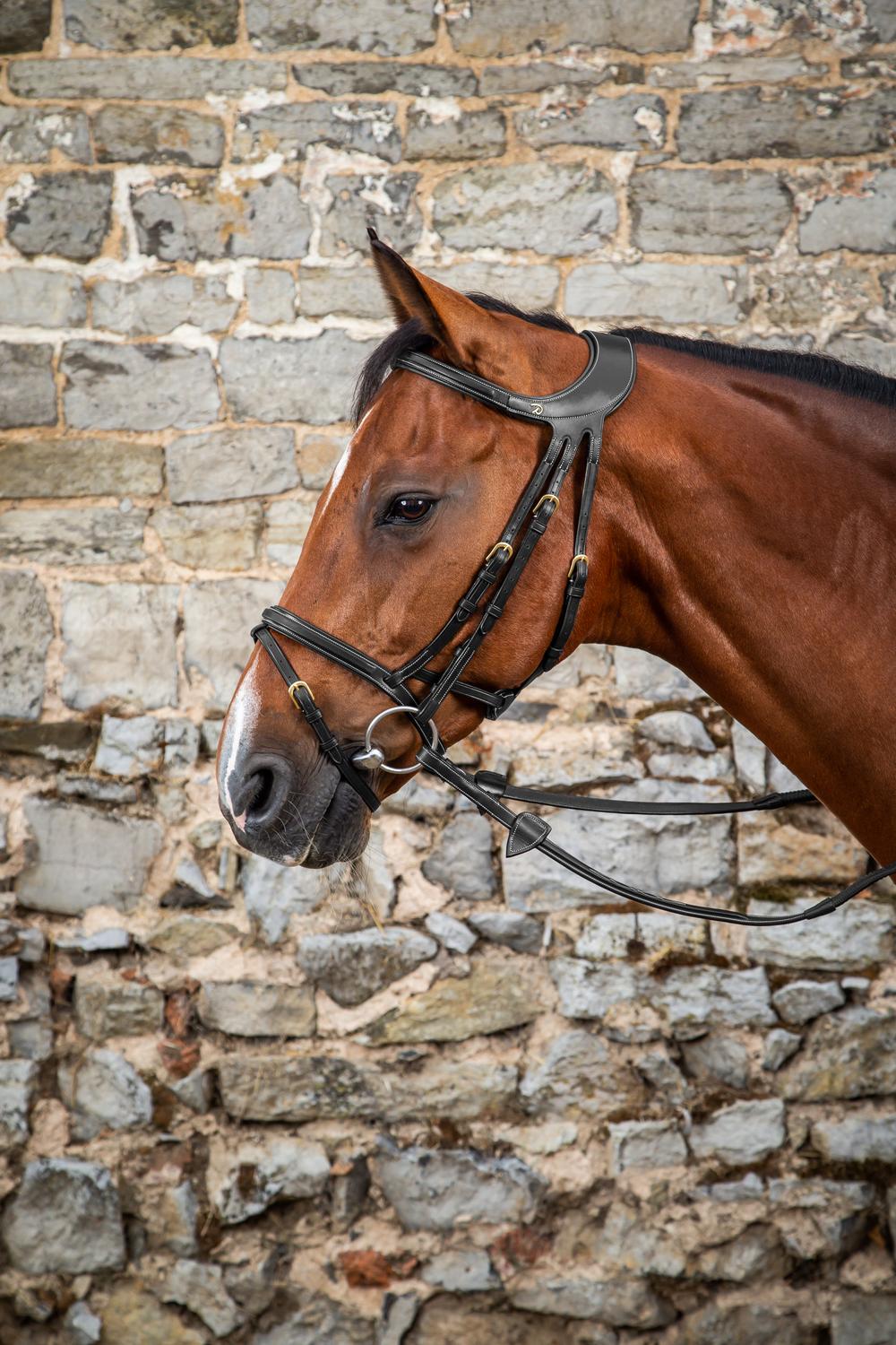 "Difference" Bridle