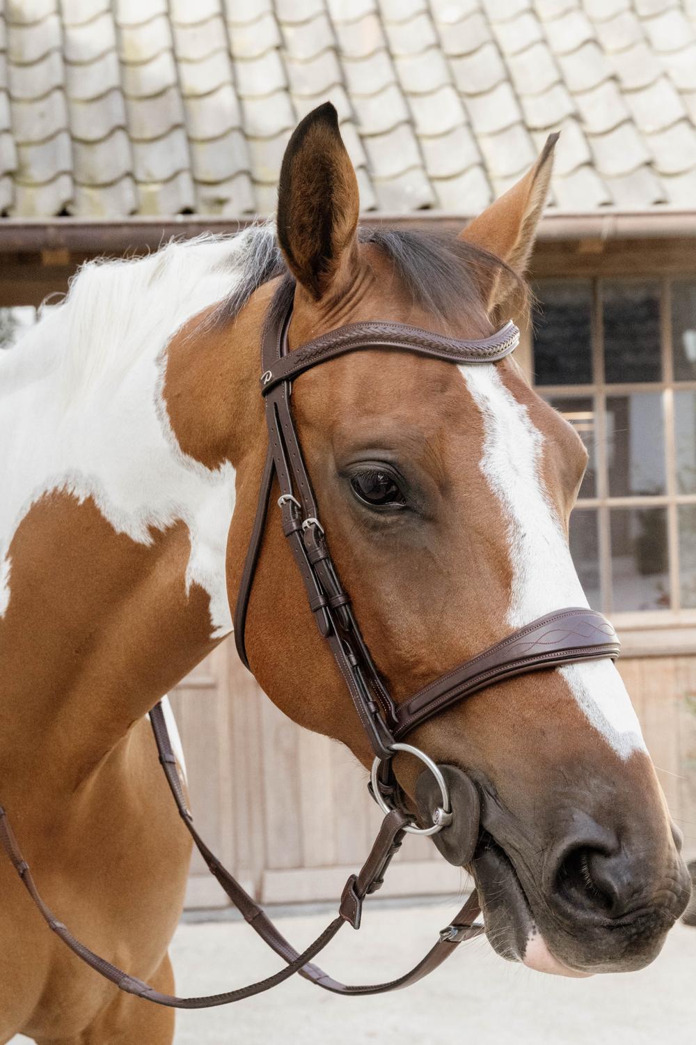 Anatomic Noseband Without Flash