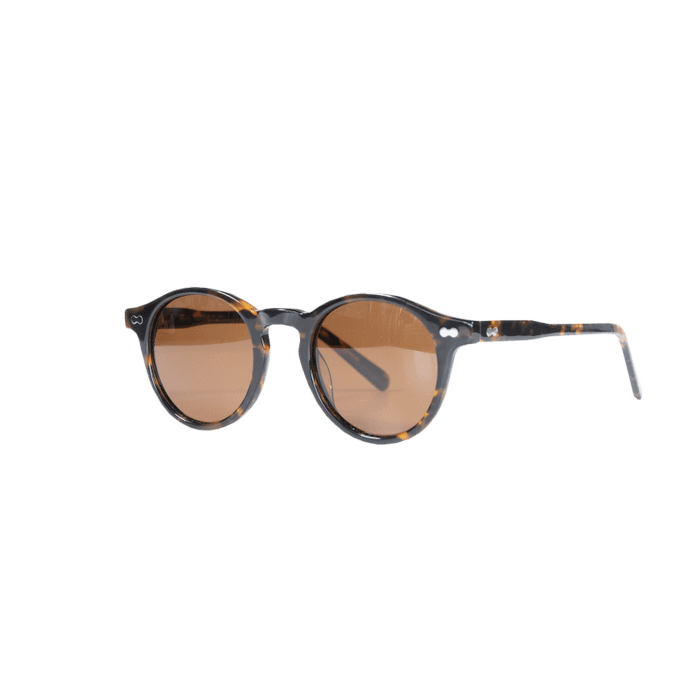 Sunglasses brown Alvin | Leopard brown | One size | 42804-55 | Kentucky