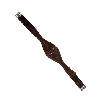 Anatomische singel Anatomische singel