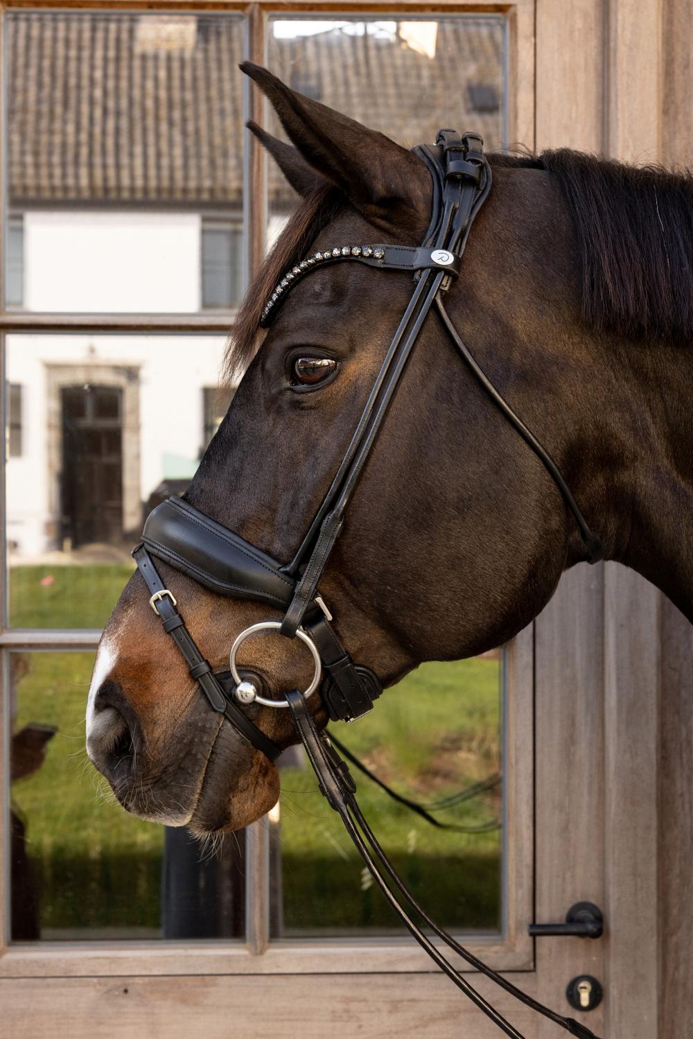 ComfoHead Bridle 