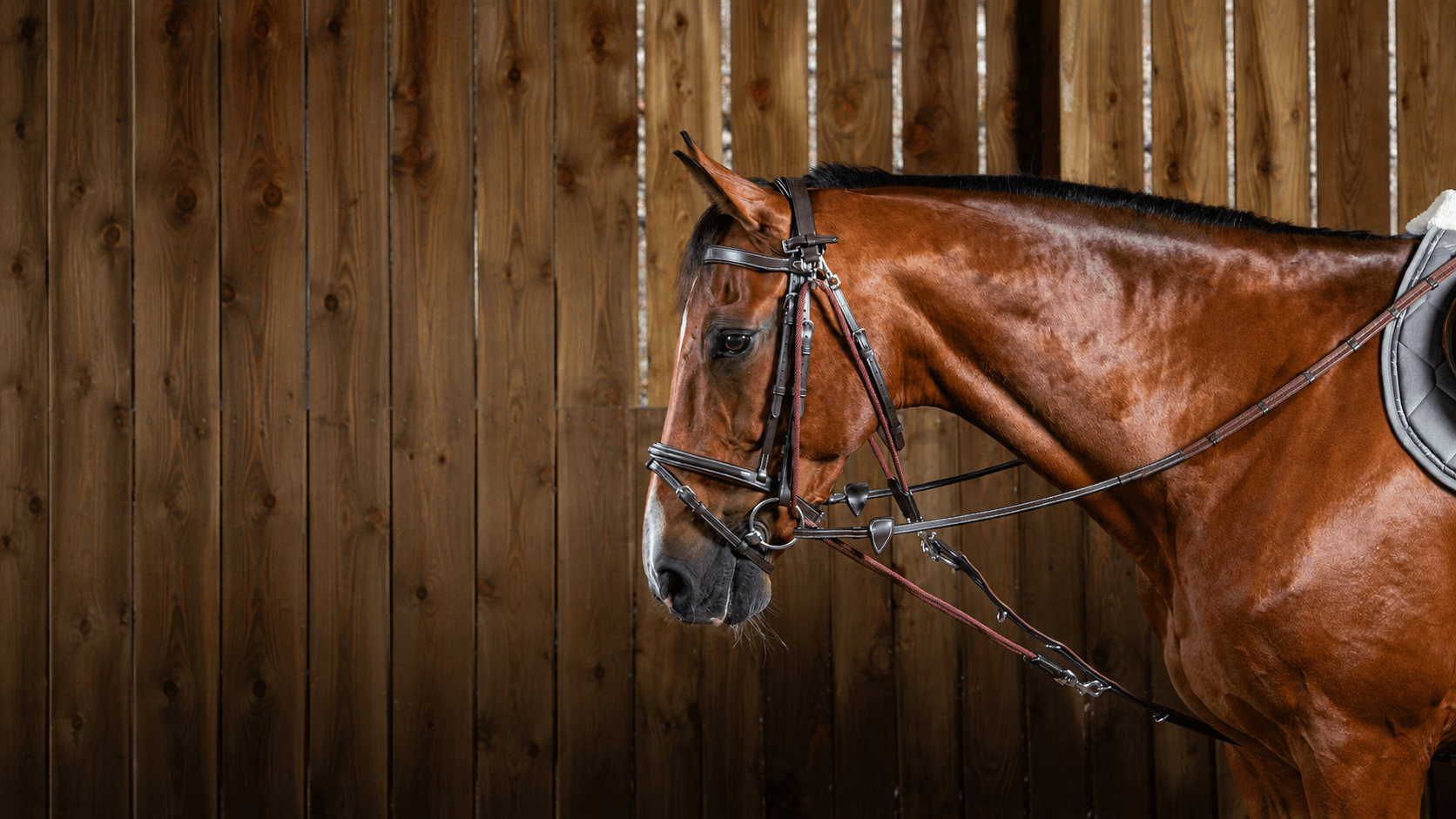 Recovery begins with softness, balance, and correct movement.