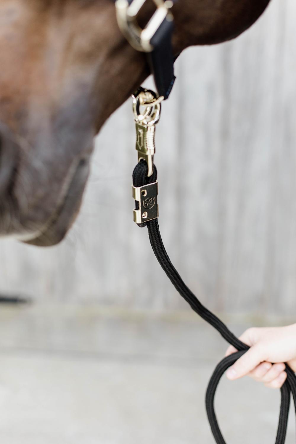 Longe cheval nylon mousqueton anti-panique 2m Premium - Waldhausen