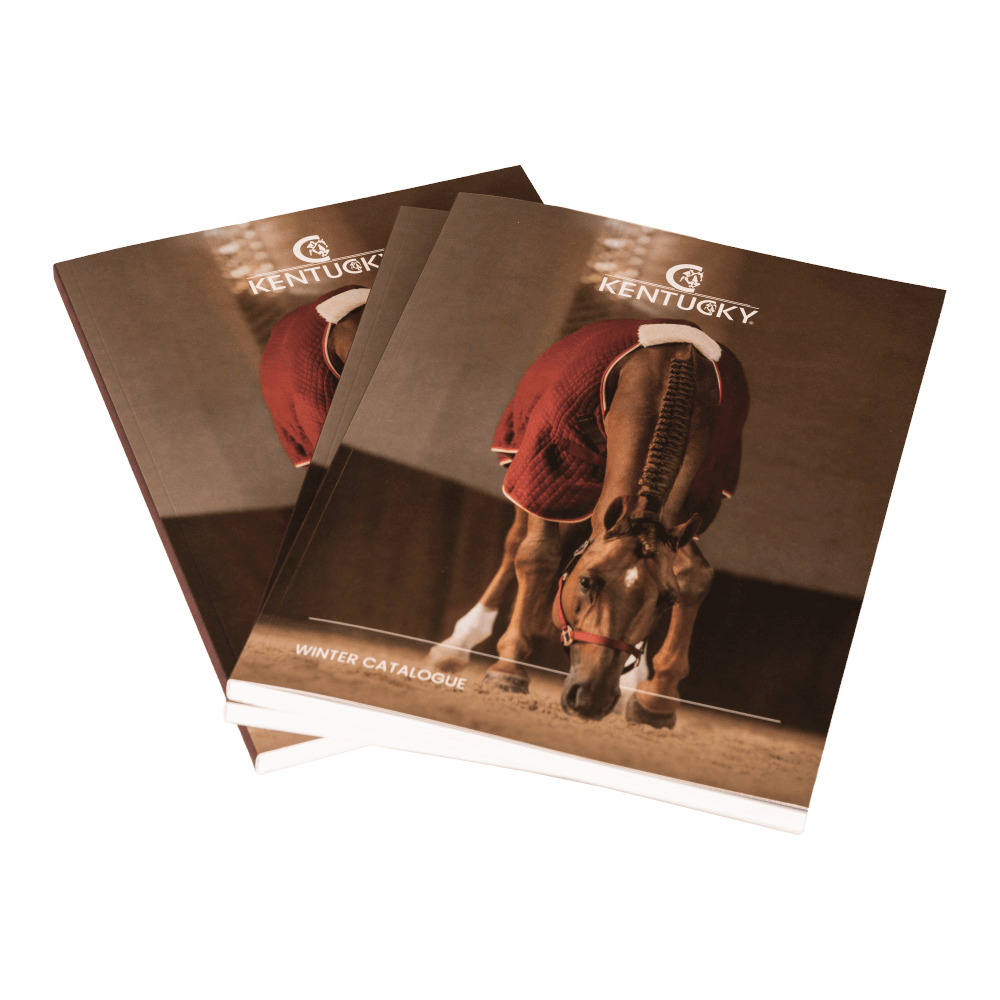 Autumn-Winter Catalogue DOWNLOAD