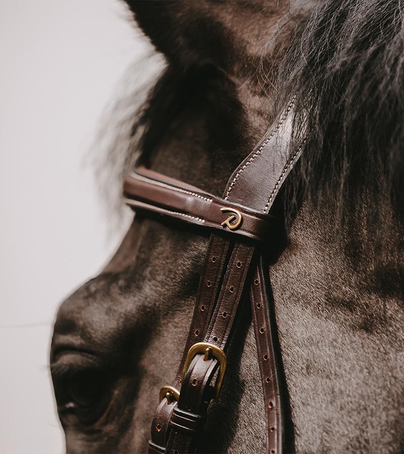 Close-up van een Dy'on-hoofdstel op een paard