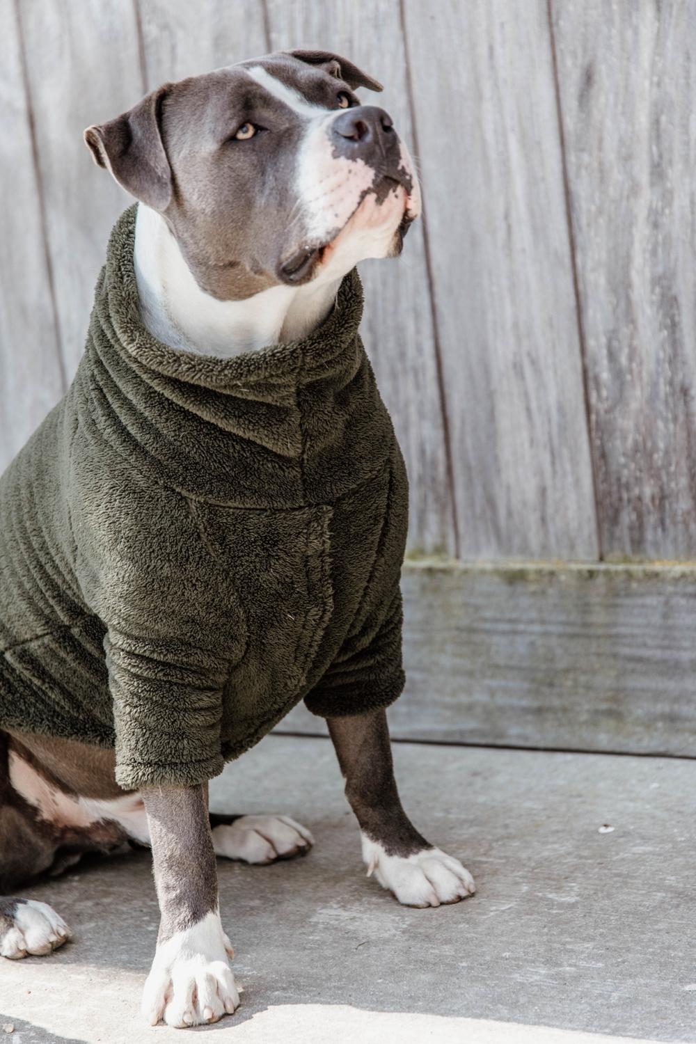 Bedst kjole Til fods Dog sweater teddy fleece pine green xxs 25cm | Pine green | XXS |  52156-74-XXS | Kentucky