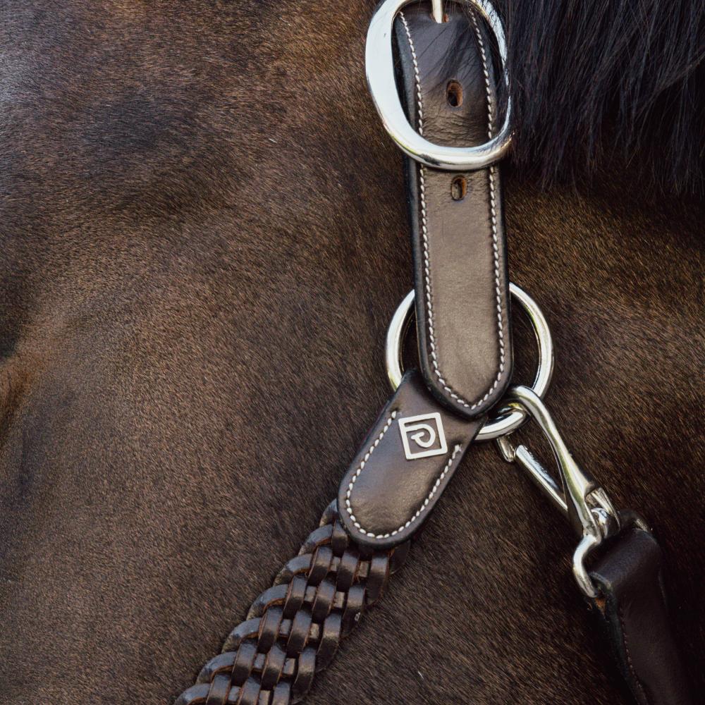 Halter & Lead