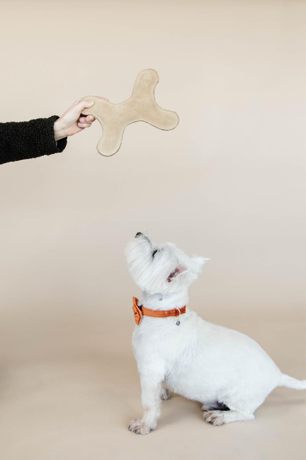 Hundespielzeug Pastell Knochen