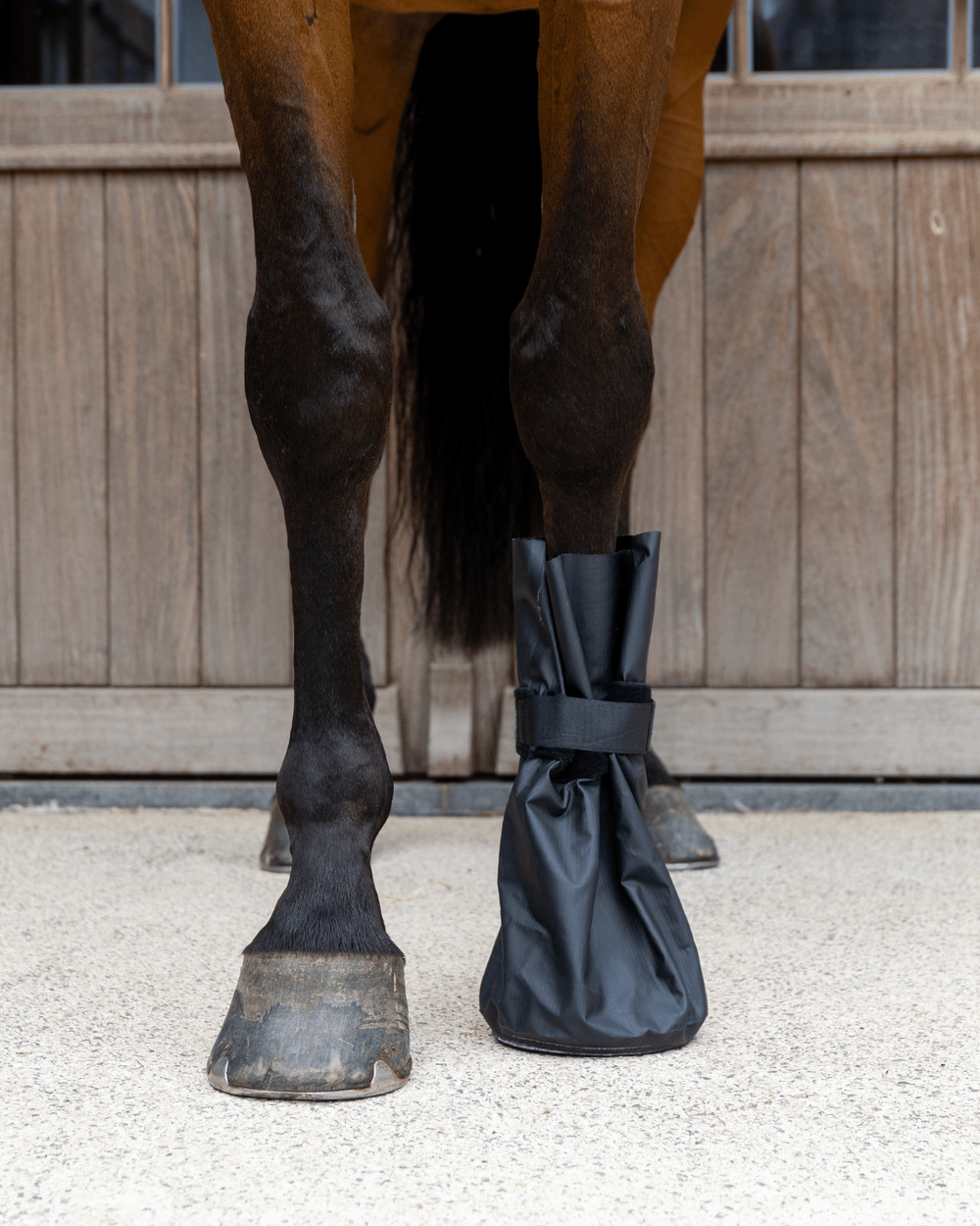 Hoof Ice Boots