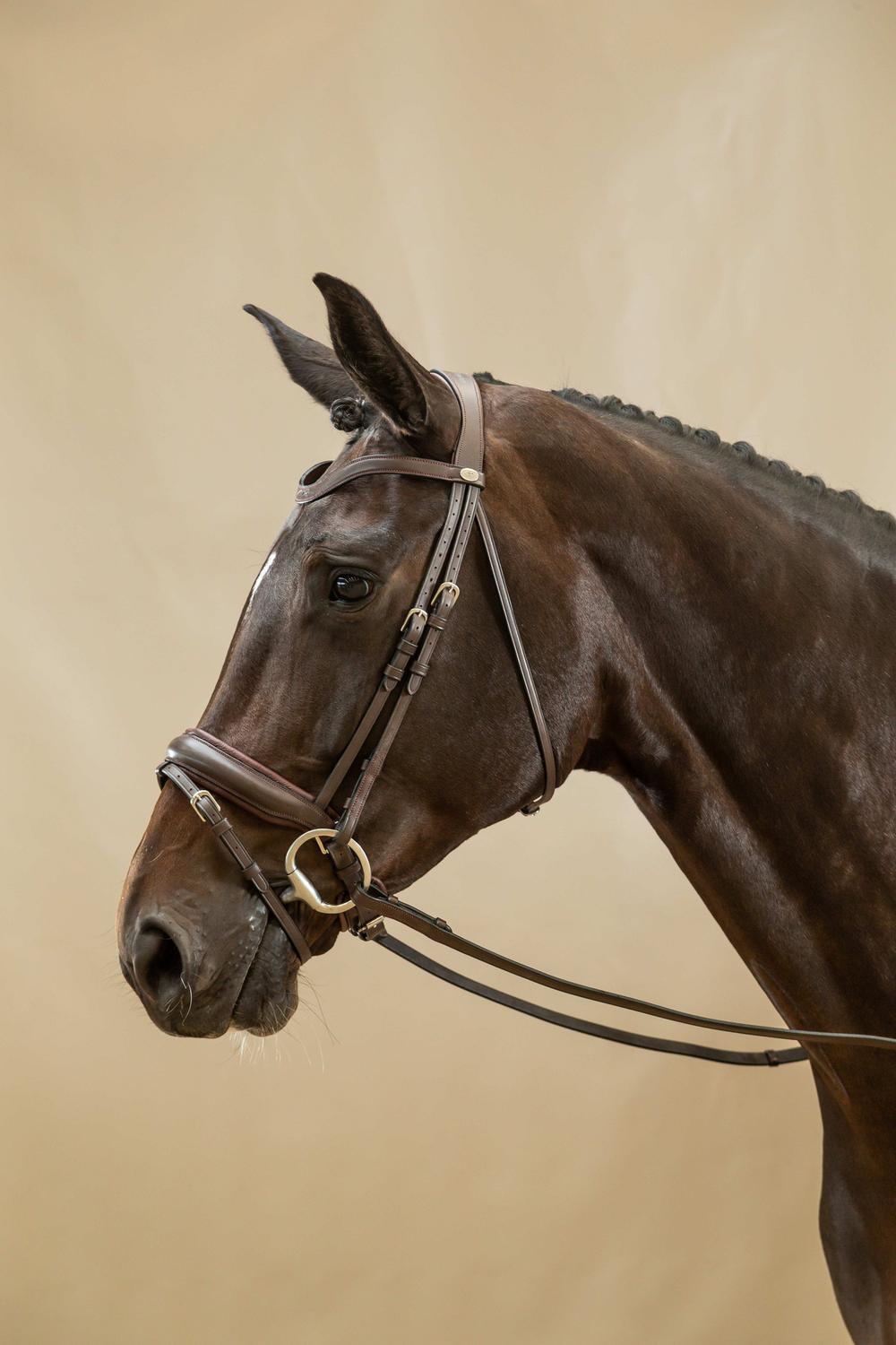 Matte Large Crank Noseband Bridle With Flash