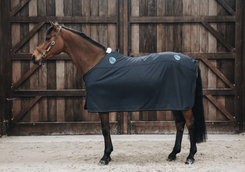 Recuptex Rug