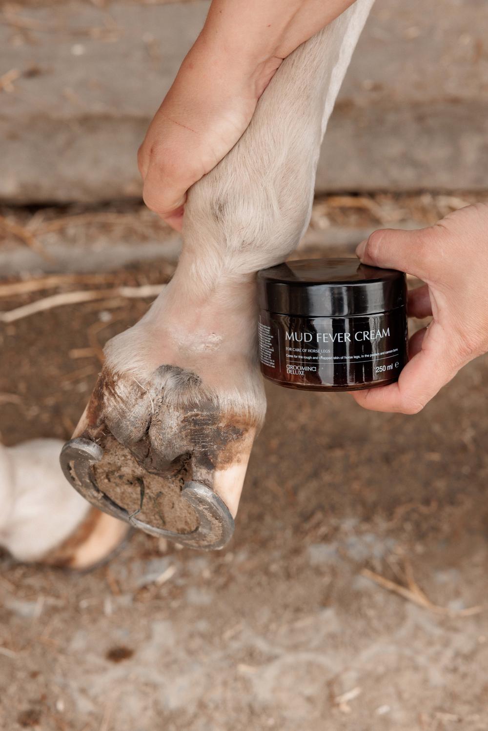 GD Mud Fever Cream Plus