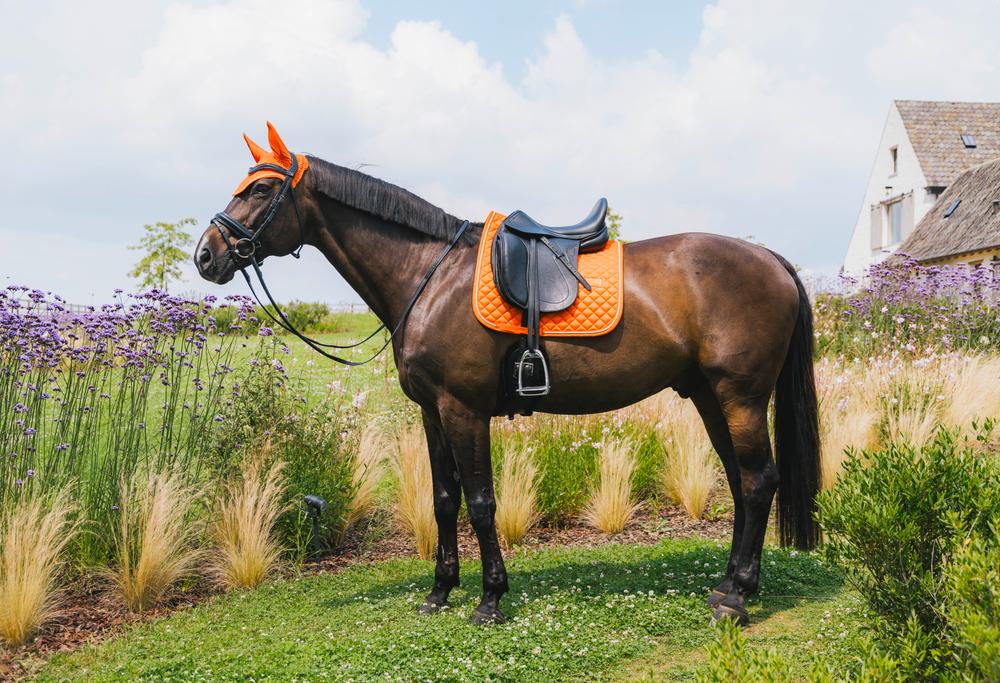 Saddle Pad Diamond Rope Dressage