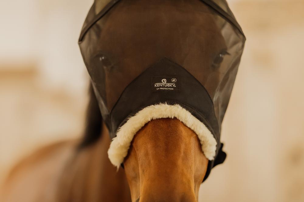 Vliegenmaskers