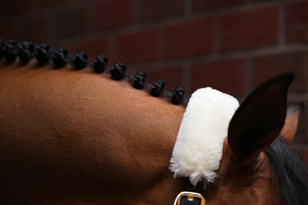 Pull Back Halter Made From Nylon - Two Horse Tack