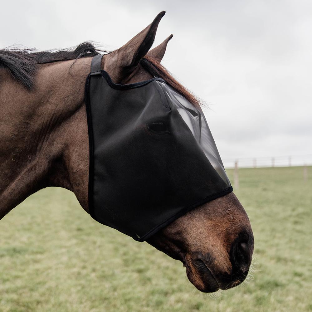 Masque anti-mouches