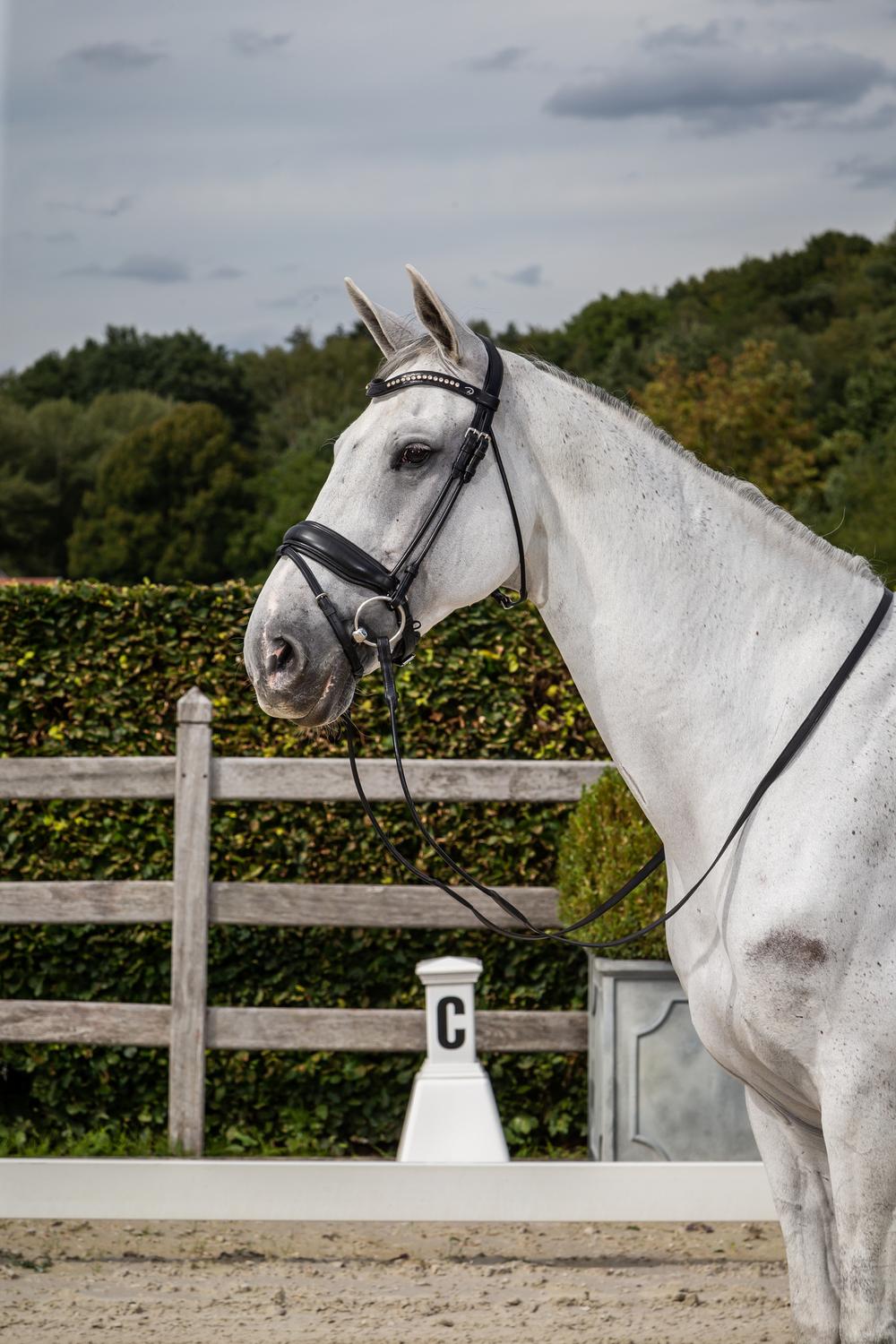 Matte Large Crank Noseband Bridle With Flash