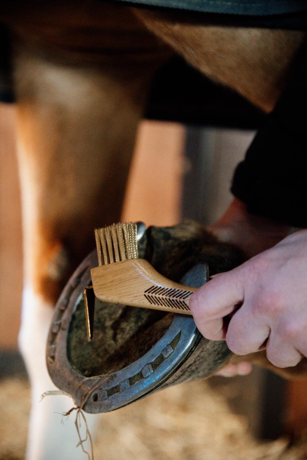 Hoof Pick with metal bristles