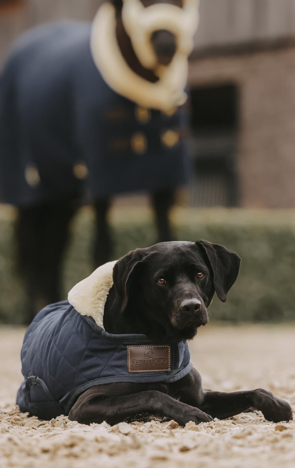 Kentucky 52126 - Manteau-serviette pour chien black - Private