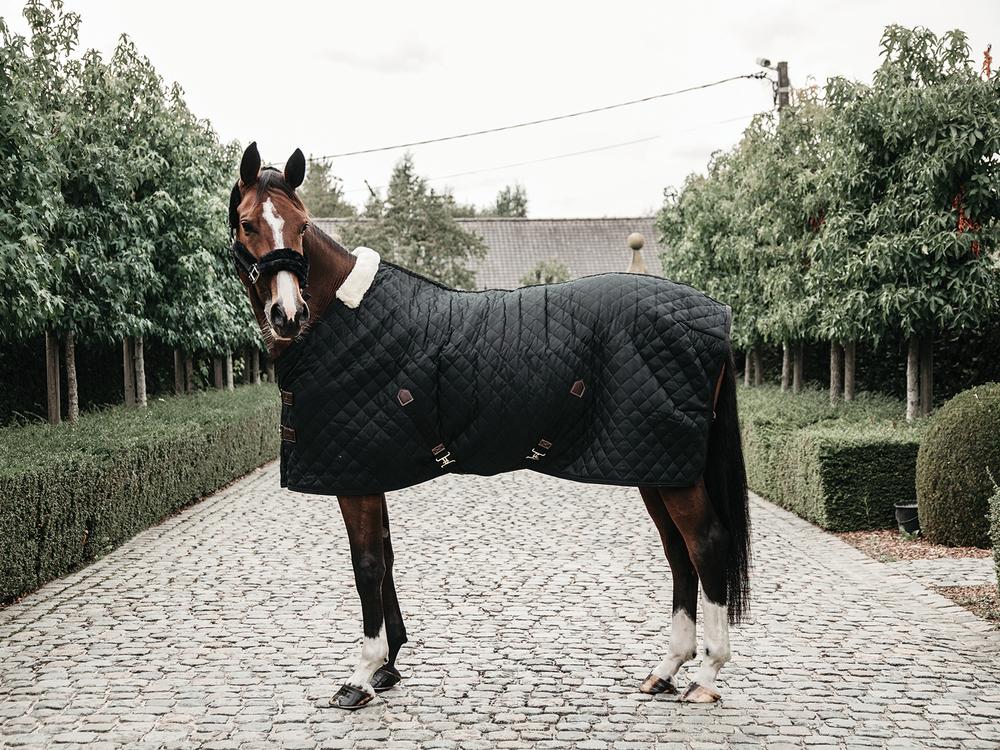Stable Rugs