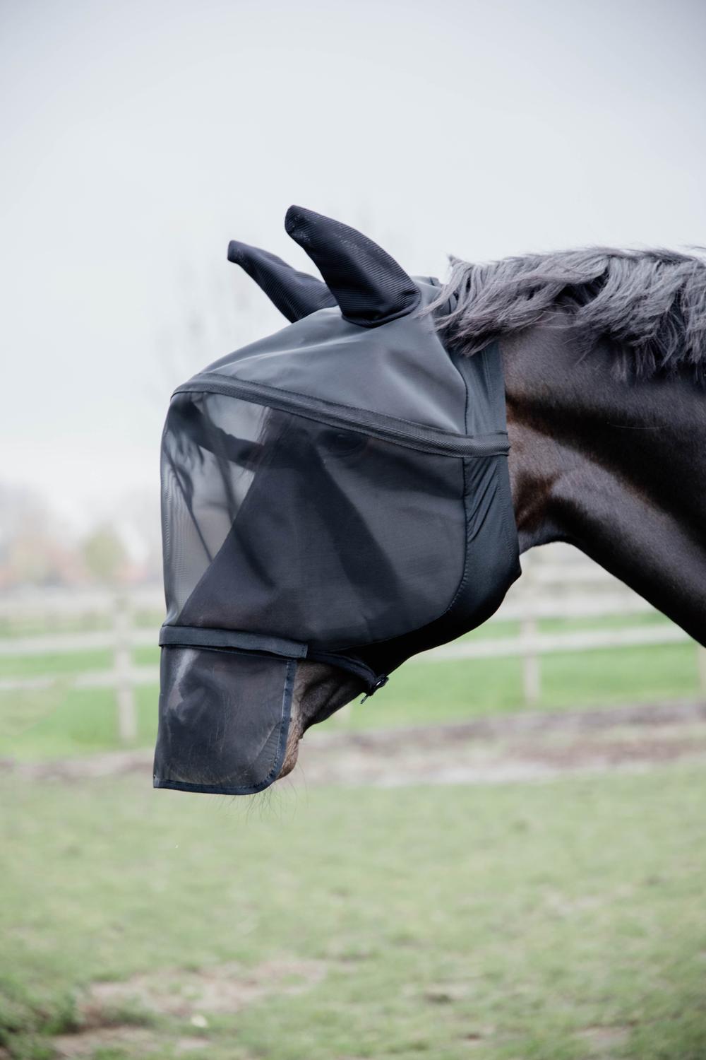 Masque Protection ARIAT Black, Horse Liberty