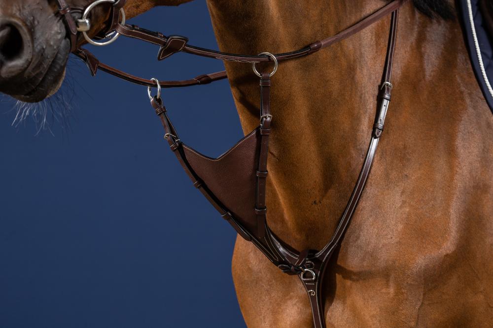 Soft Bib Martingale Attachment