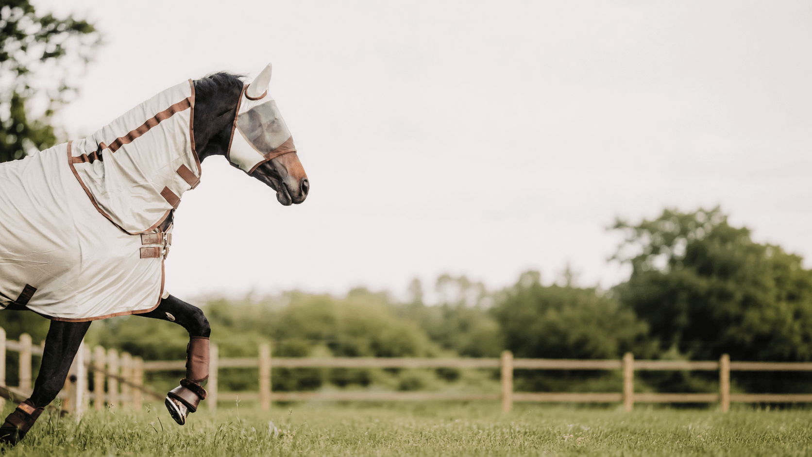 Kentucky Horsewear
