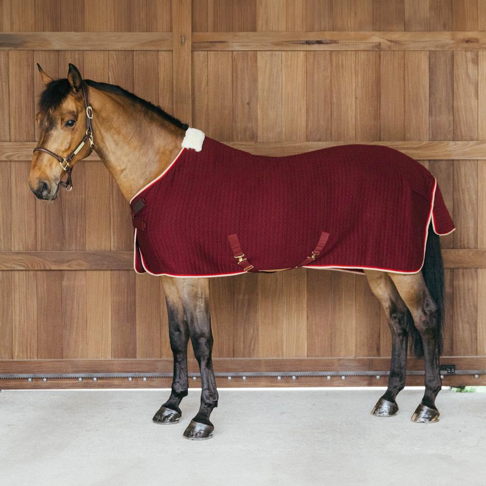 Cooler Rug PROtherm