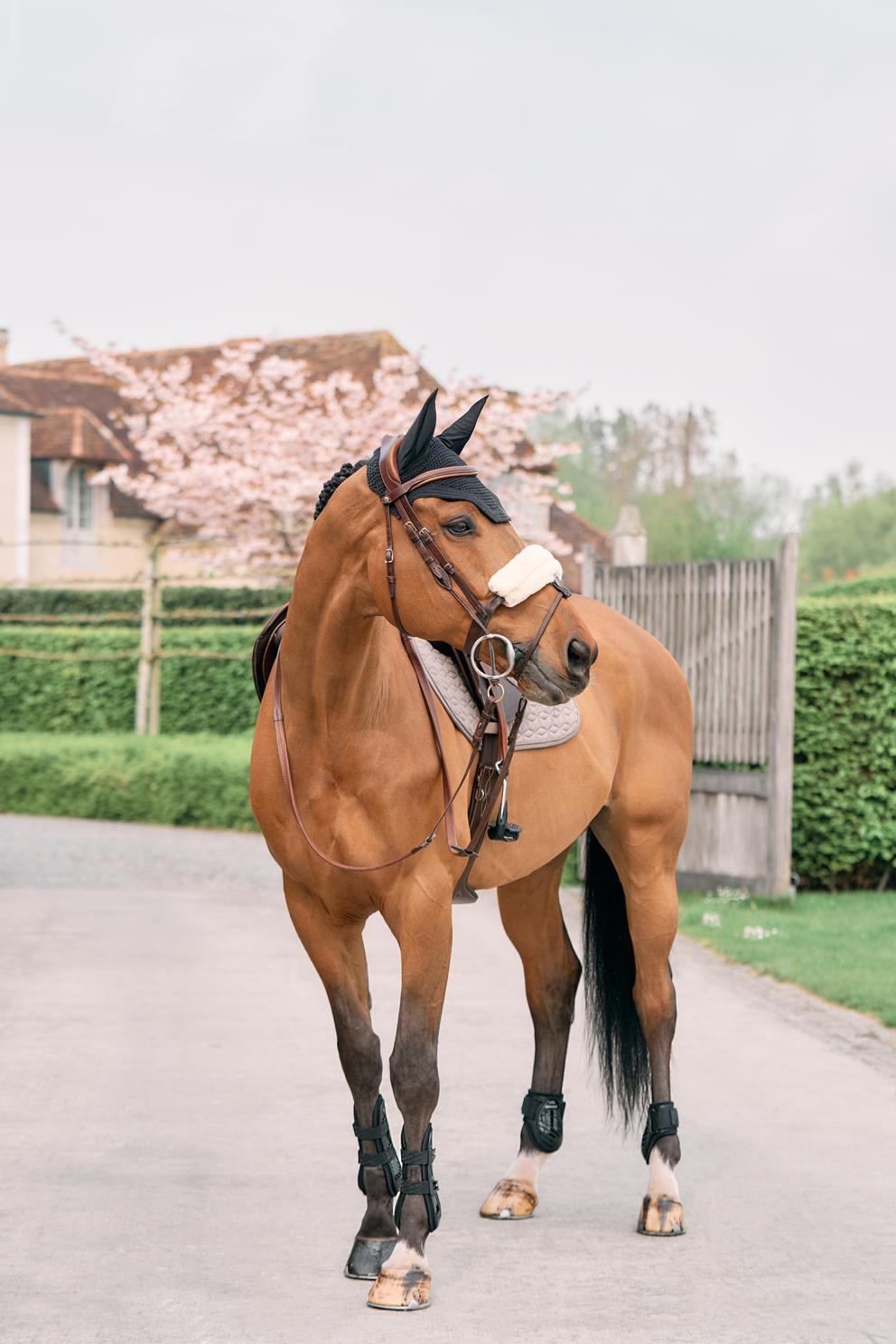 Sheepskin noseband cover natural Natural One size 426020228