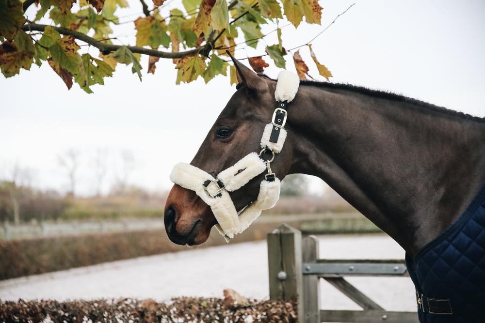 Sheepskin Shipping Halter