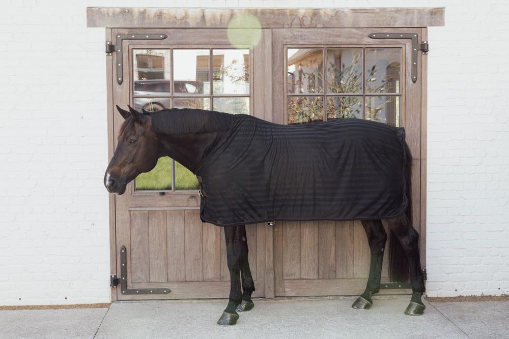 Light Striped Mesh Fly Sheet